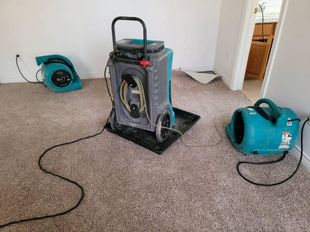 Best Mold removal after water damage  in Tehaleh, WA