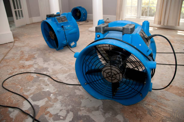 Professional Water damage restoration in Tehaleh, WA