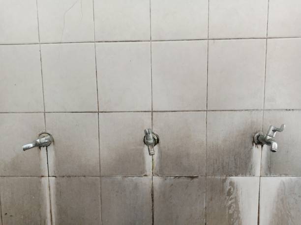 Best Water damage cleanup near me  in Tehaleh, WA