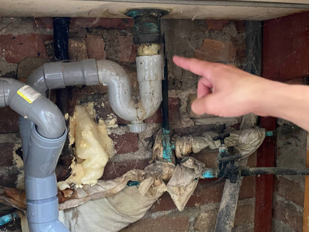 Best Fire Damage Restoration  in Tehaleh, WA
