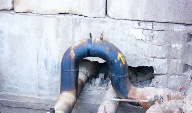 Best Water damage mitigation services  in Tehaleh, WA